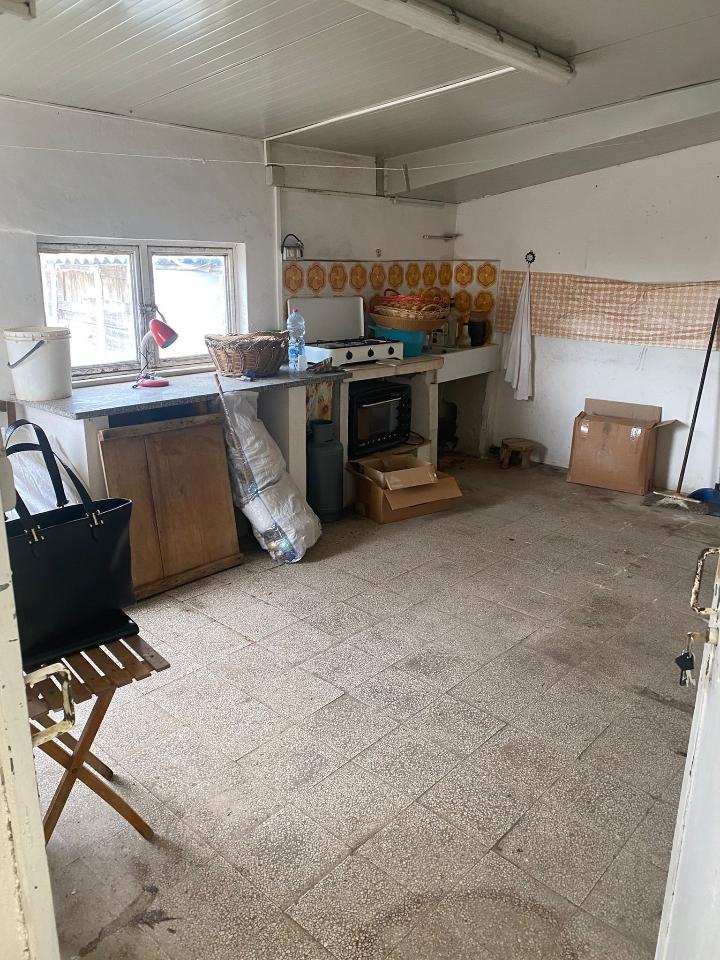 immagine annuncio 12 di 14