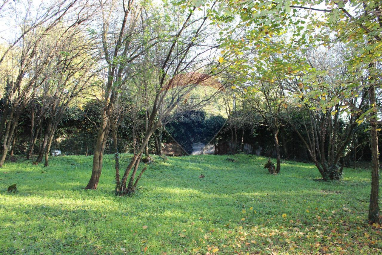 immagine annuncio 9 di 14