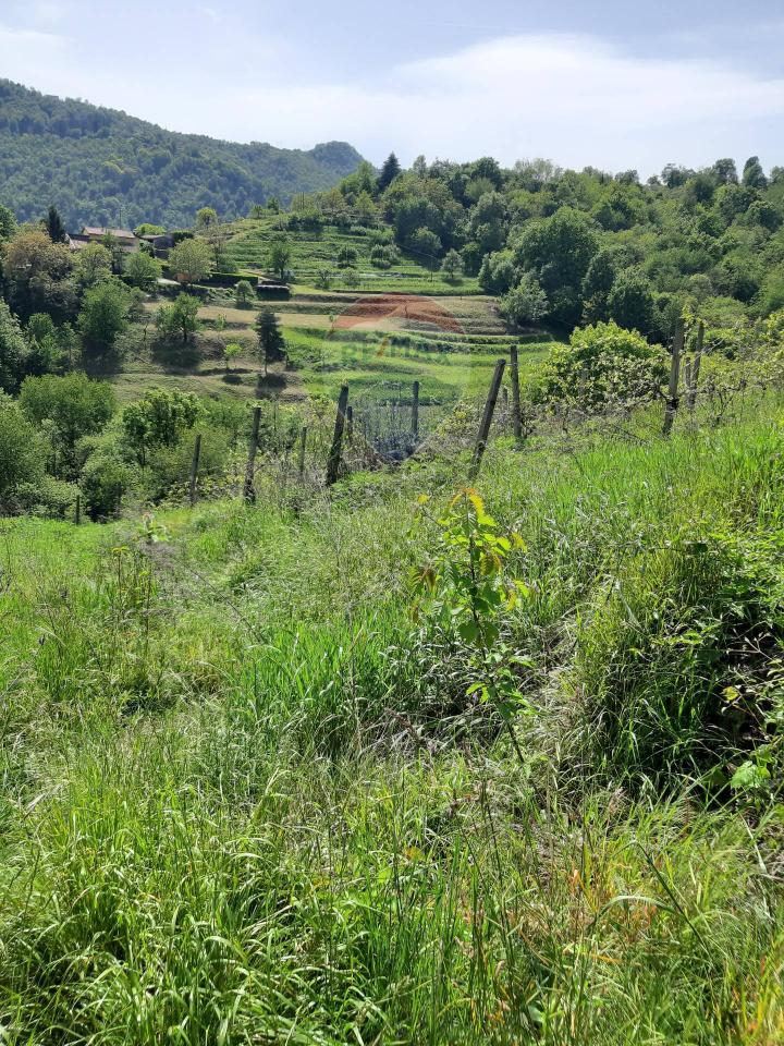 immagine annuncio 8 di 11