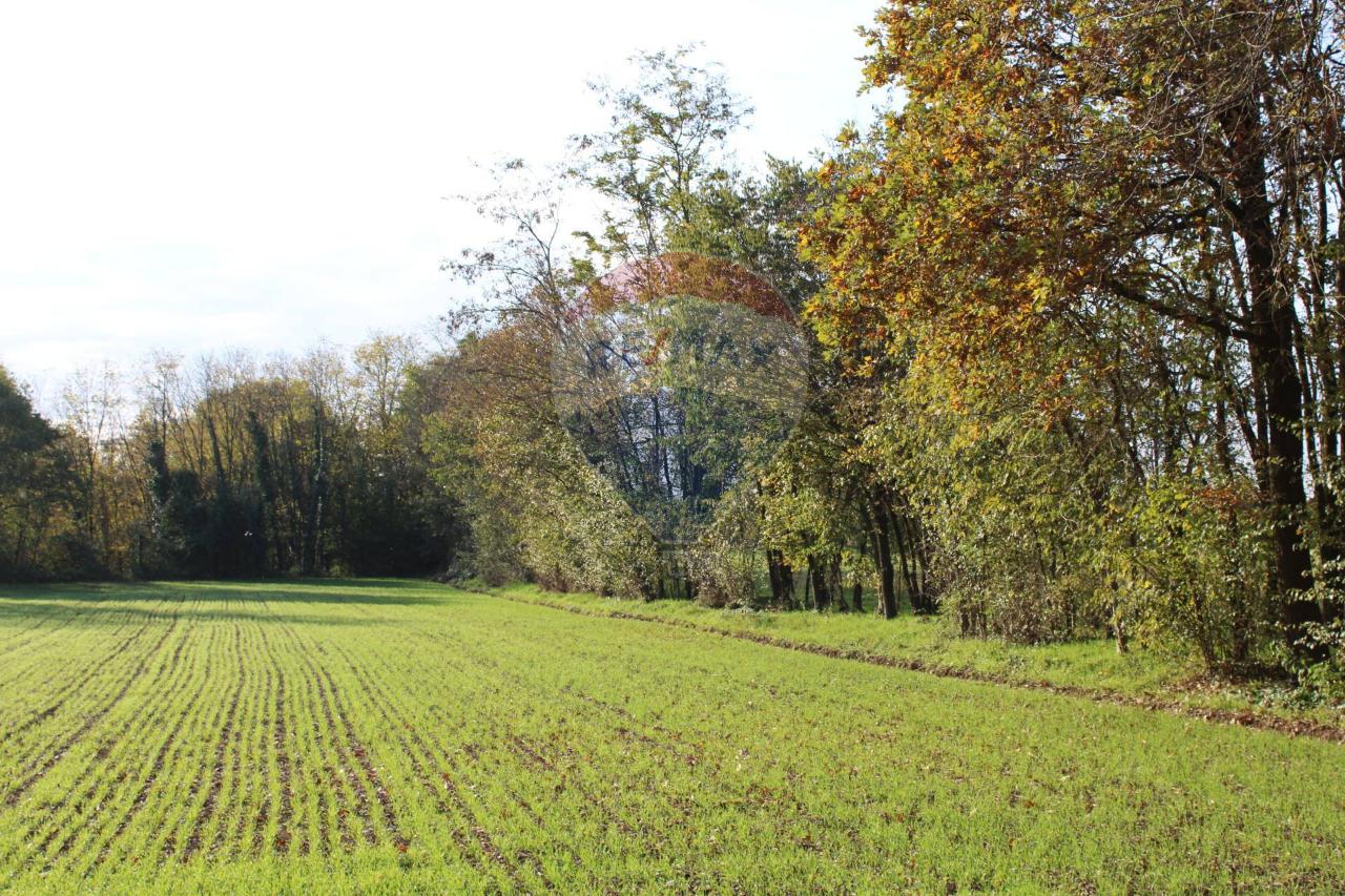 immagine annuncio 10 di 13