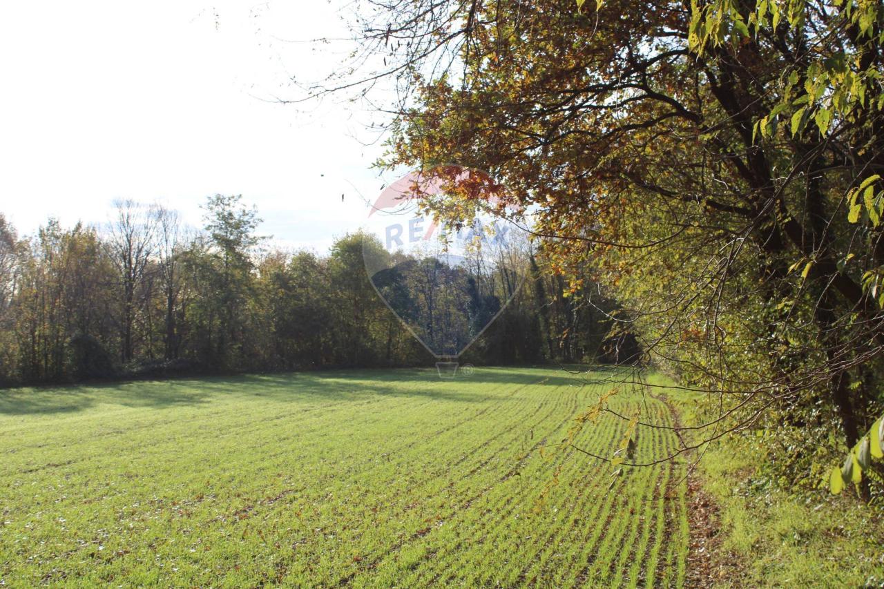 immagine annuncio 7 di 13