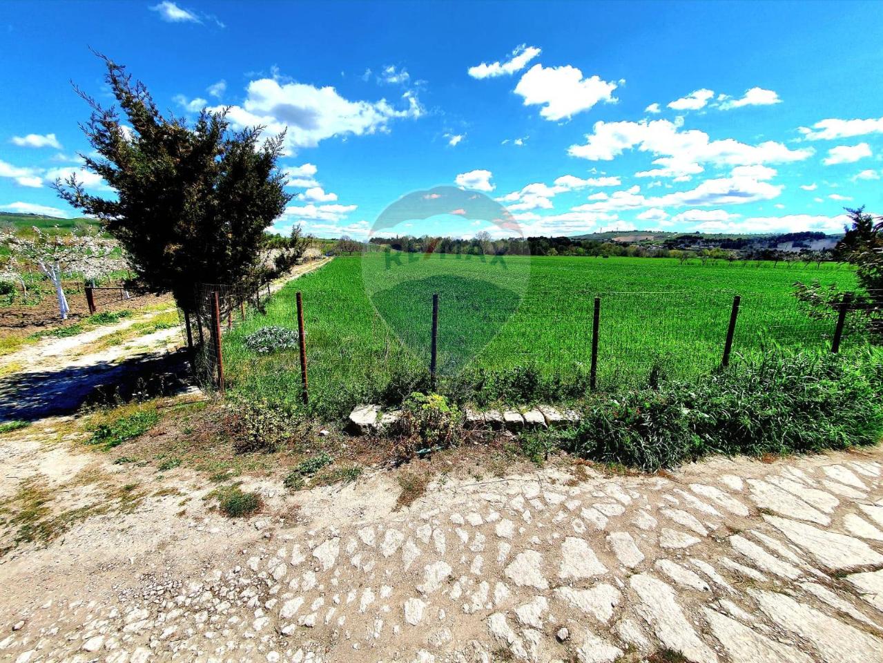 Terreno agricolo in vendita a Matera