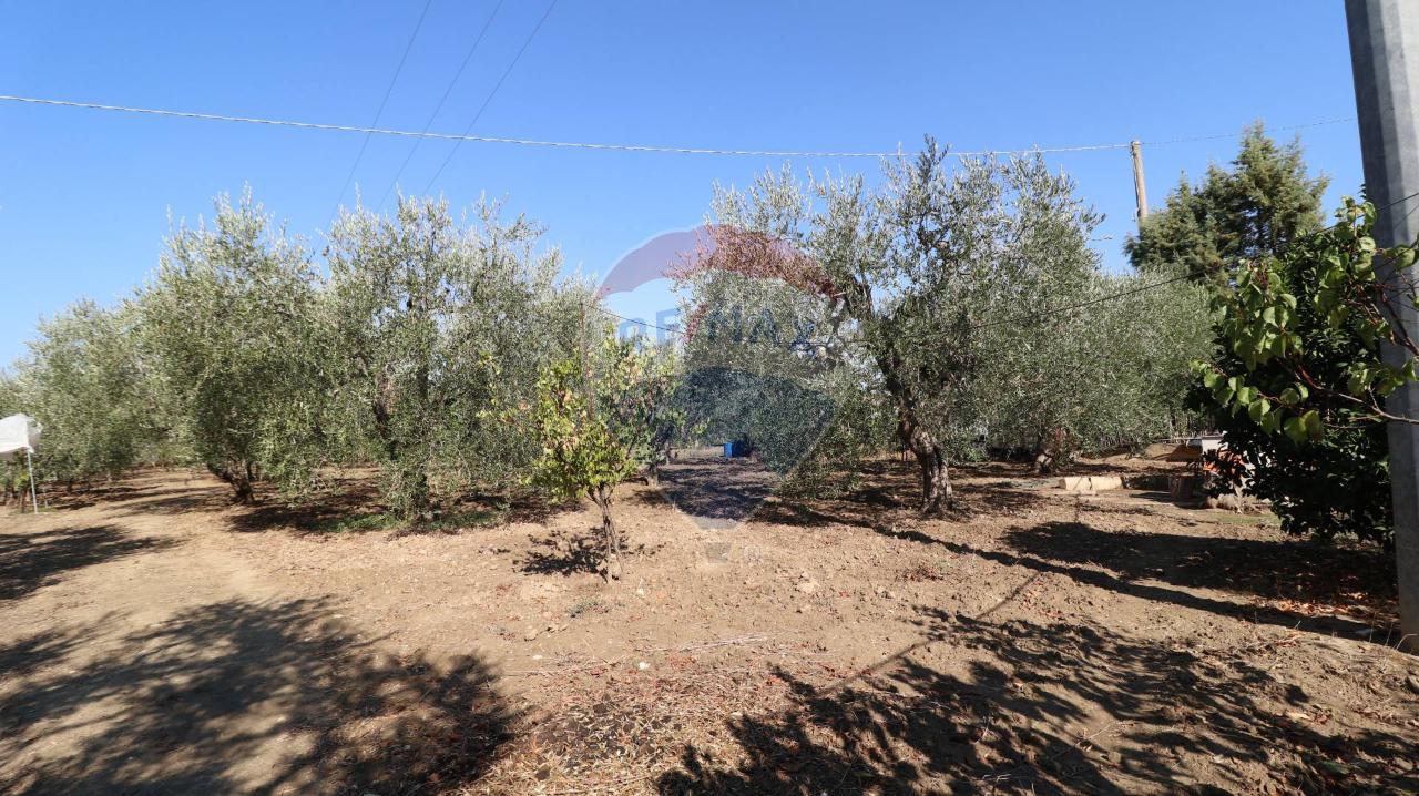 Terreno agricolo in vendita a Matera