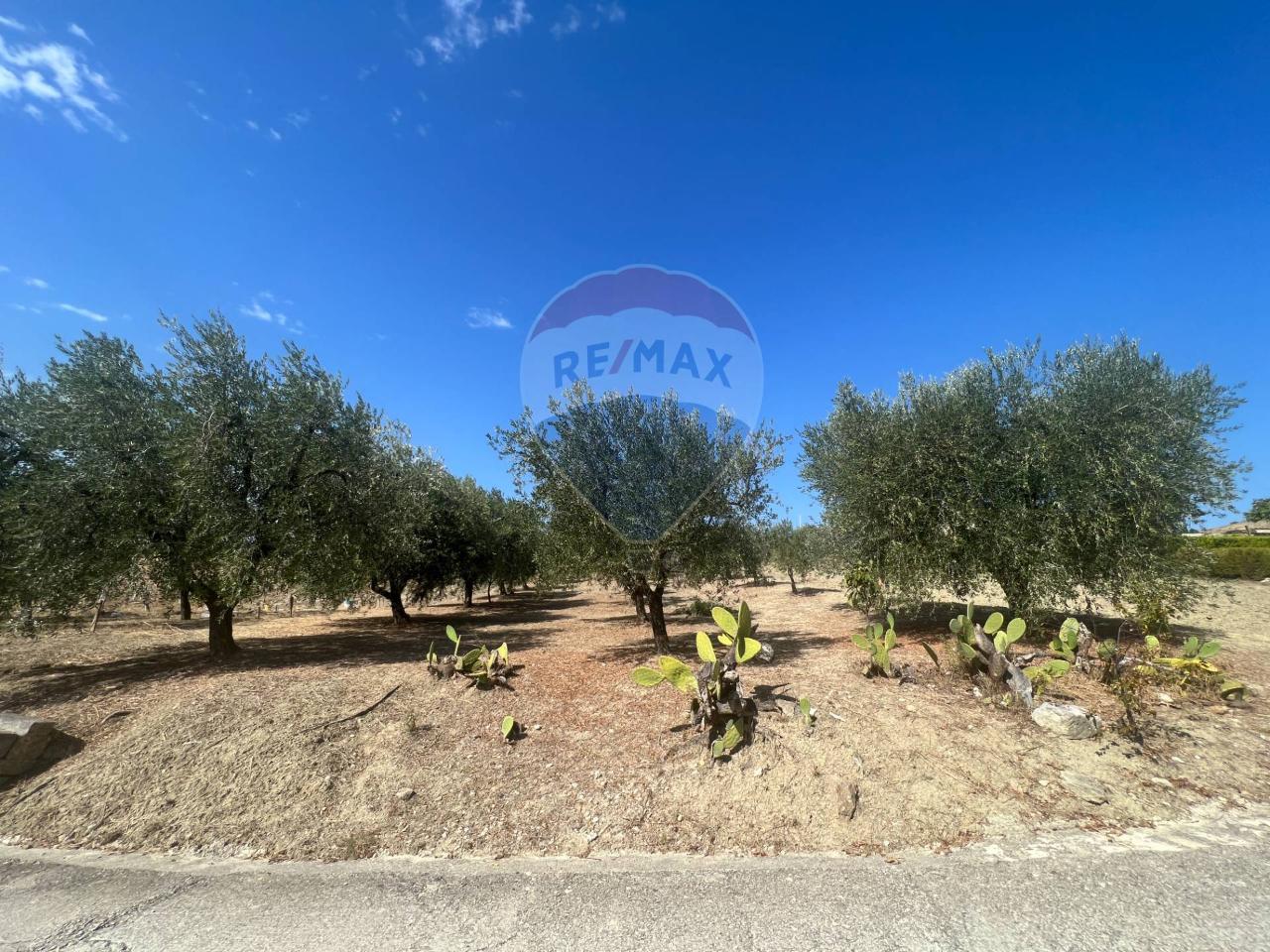 Terreno agricolo in vendita a Matera