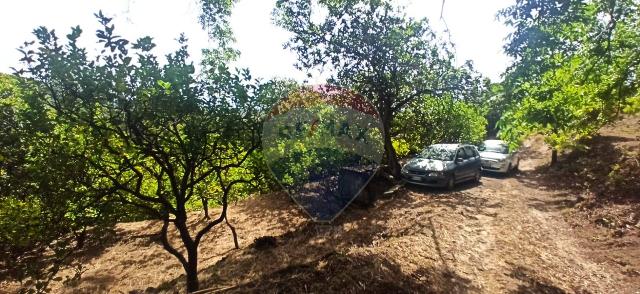 Terreno agricolo in Contrada Coste - Spezi, Giarre - Foto 1