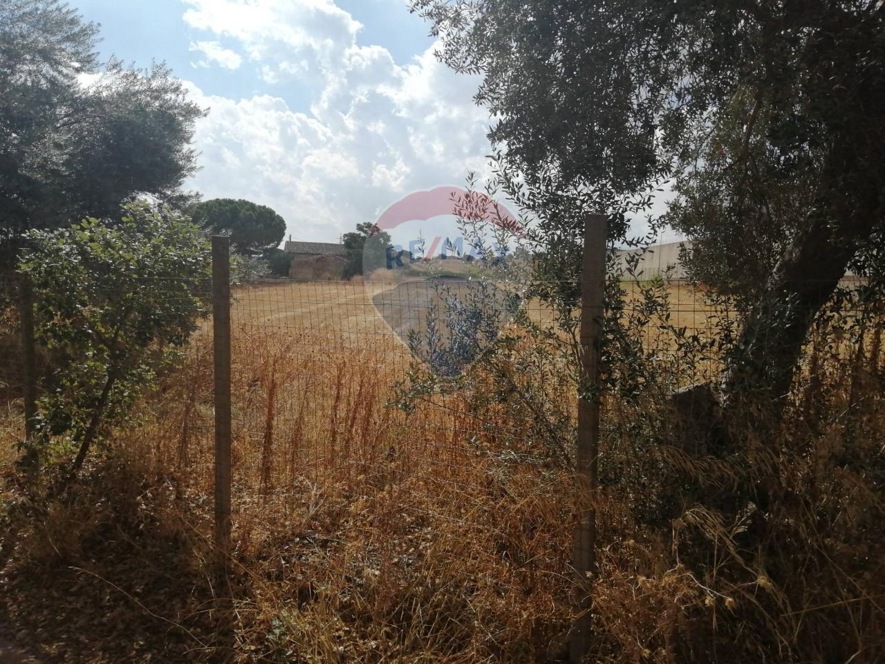 Terreno agricolo in vendita a Caltagirone