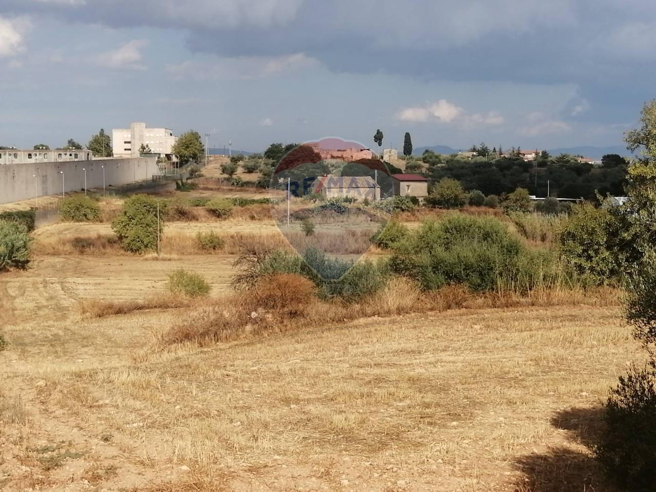 Terreno agricolo in vendita a Caltagirone