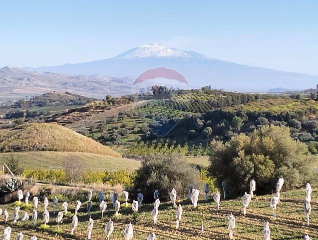 Terreno agricolo in C/da San Severino, Caltagirone - Foto 1