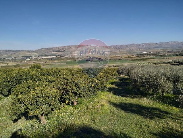 Terreno agricolo in C/da San Severino, Caltagirone - Foto 1