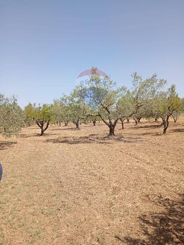 Villa in Contrada Vaccarizzo S.N., Caltagirone - Foto 1