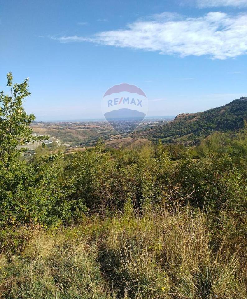 immagine annuncio 12 di 14