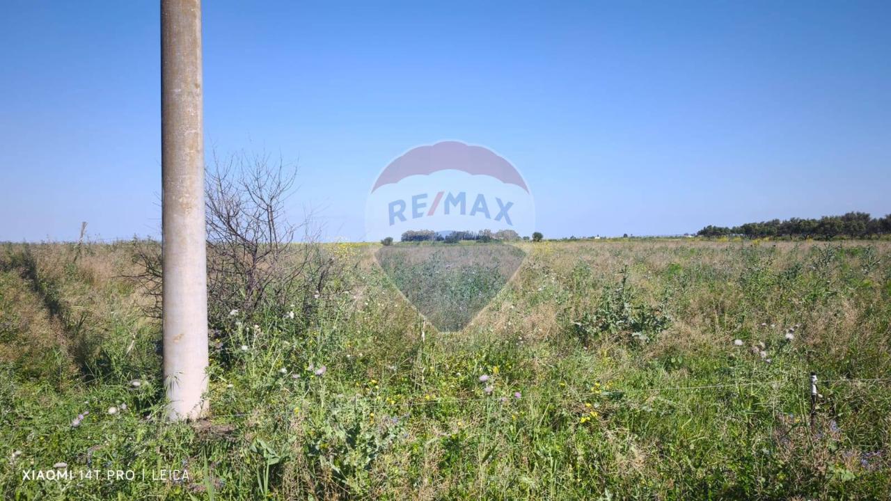 immagine annuncio 7 di 13