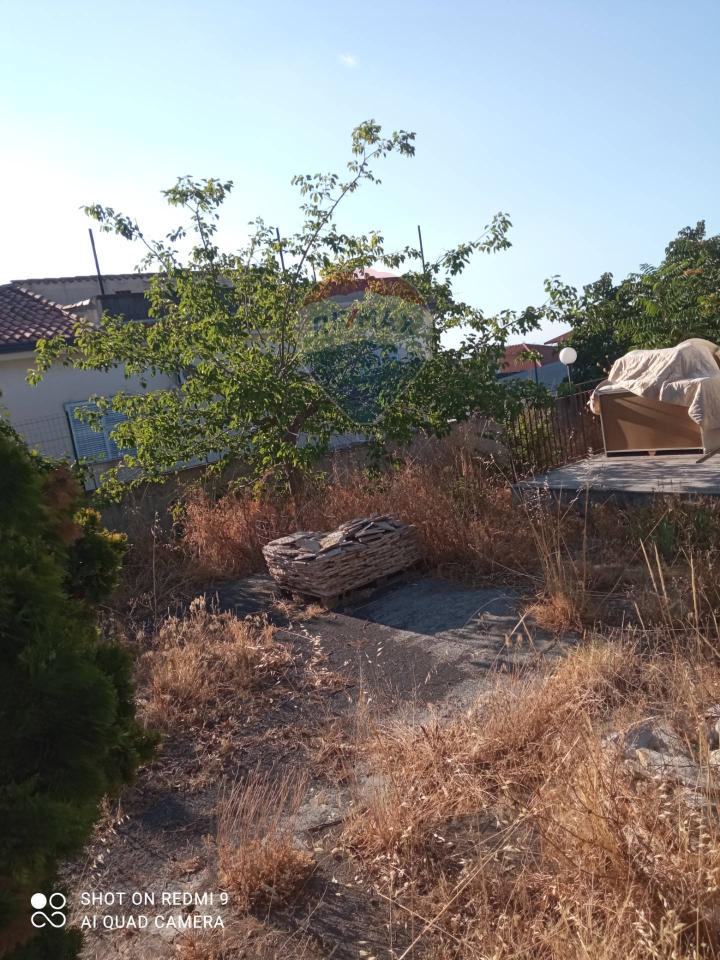 immagine annuncio 3 di 7