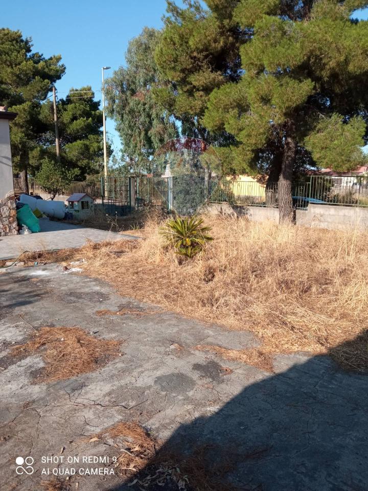 immagine annuncio 5 di 7