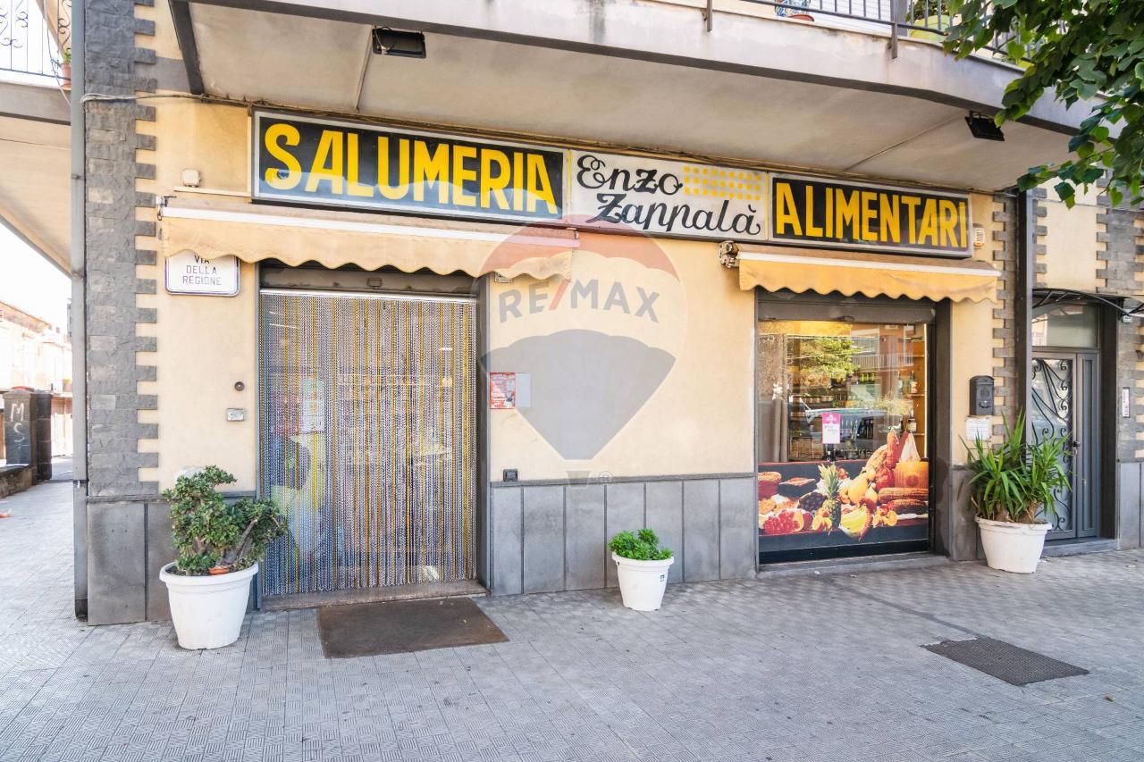 Esercizio commerciale in Via della Regione 130, San Giovanni La Punta, {3} - Foto 2