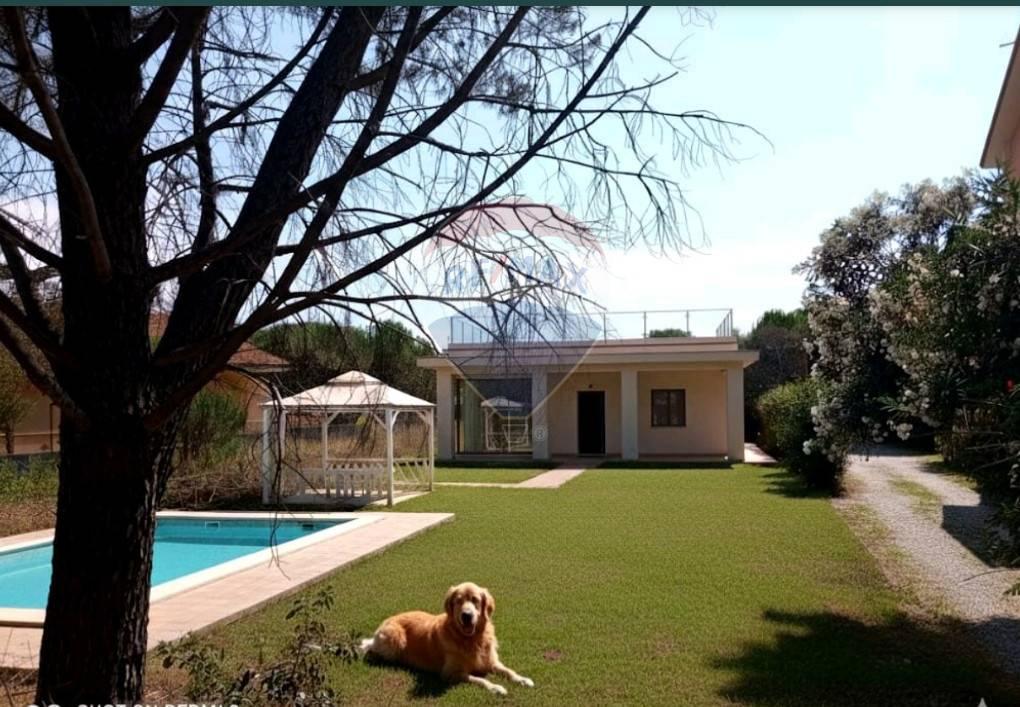 immagine annuncio 5 di 6