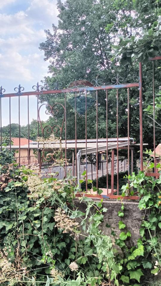 immagine annuncio 6 di 14