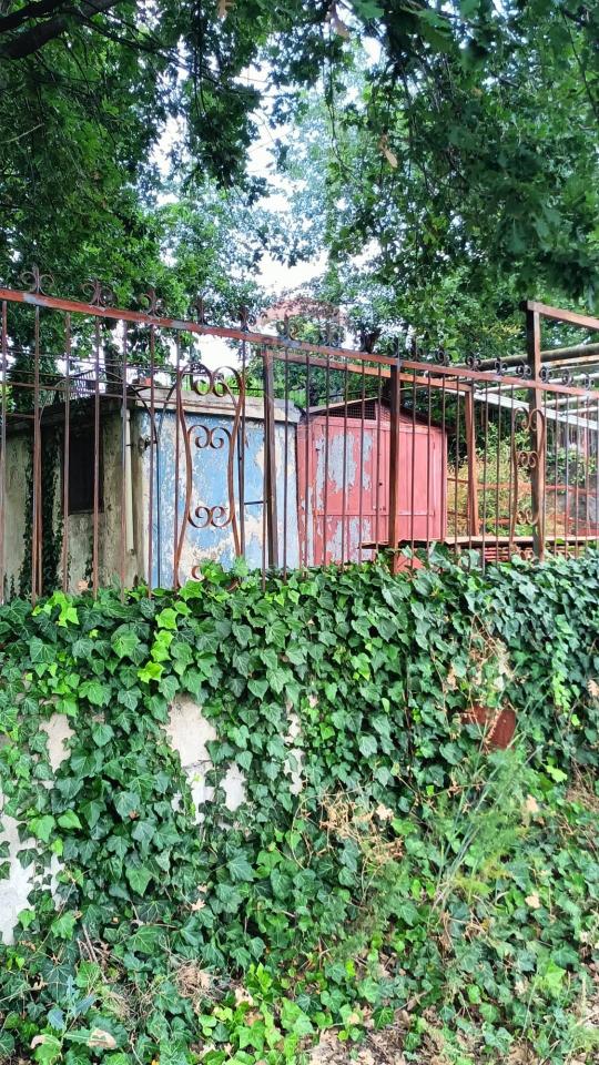 immagine annuncio 4 di 14