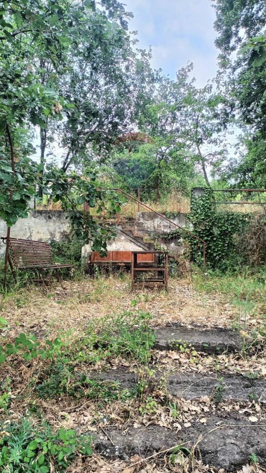 immagine annuncio 9 di 14