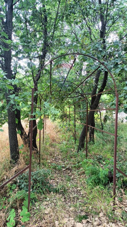 immagine annuncio 13 di 14