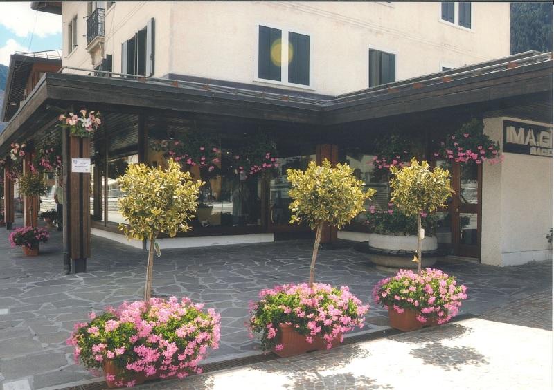 Negozio in Piazza S. Giustina, Auronzo Di Cadore, {3} - Foto 2