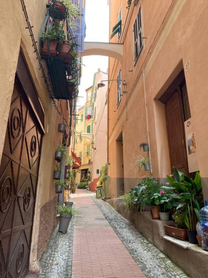 immagine annuncio 9 di 12