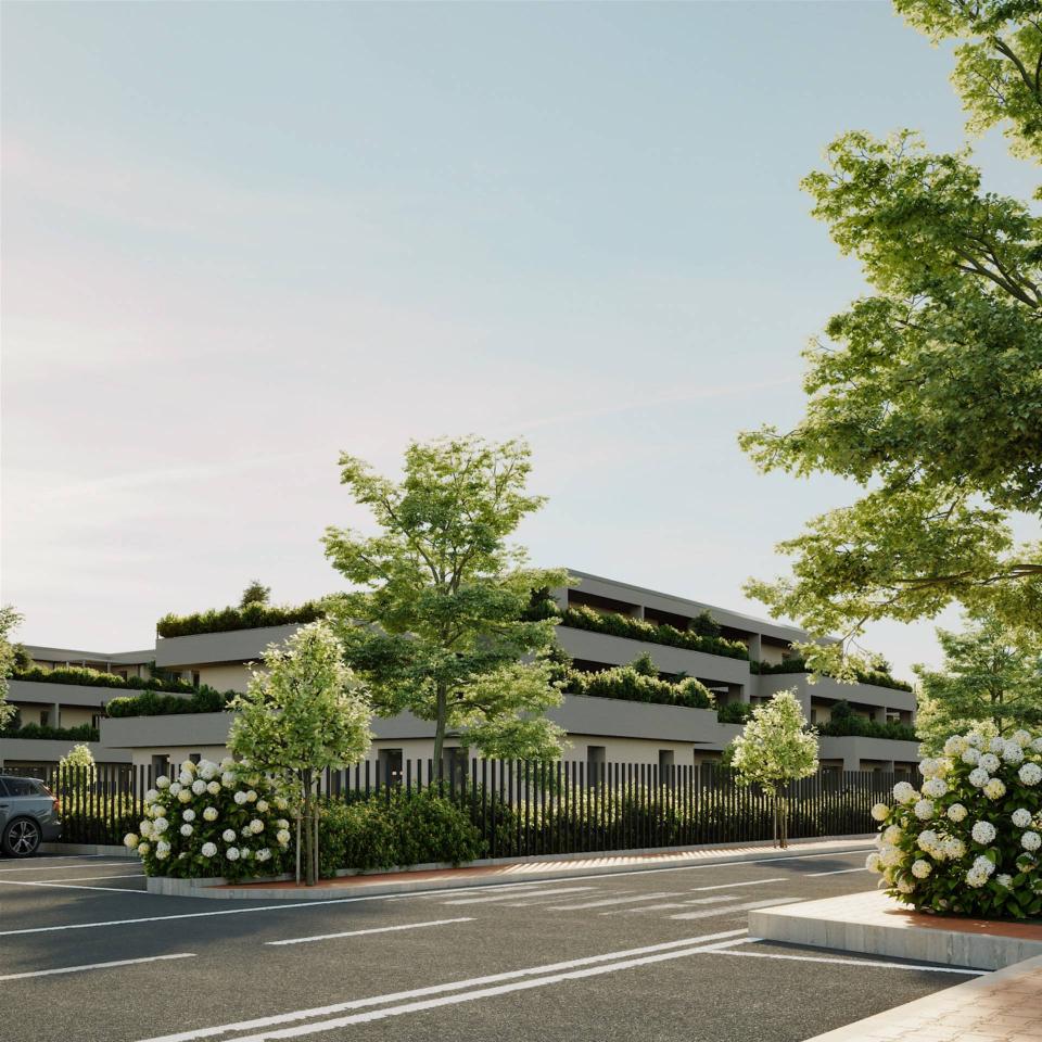 immagine annuncio 1 di 15