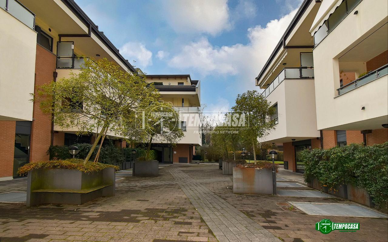 immagine annuncio 4 di 15