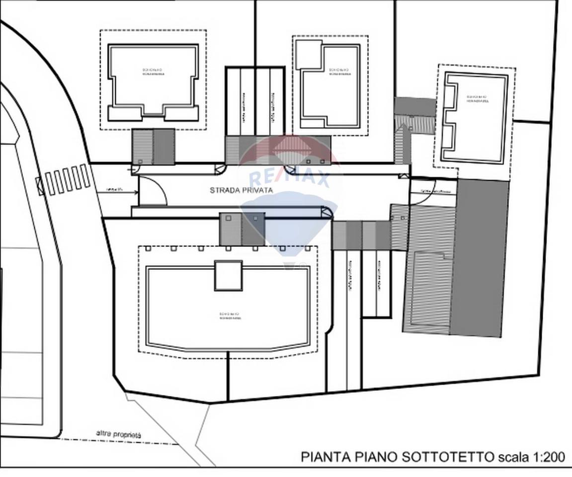 immagine annuncio 3 di 6