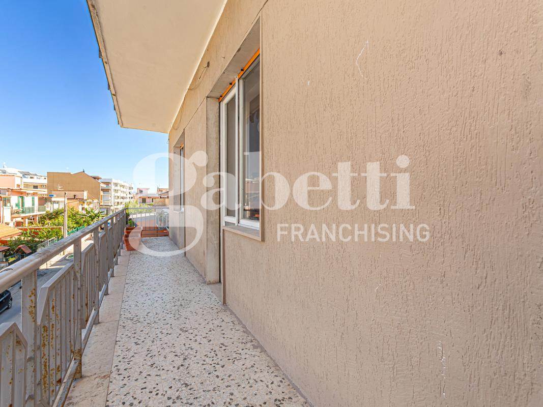 immagine annuncio 12 di 14