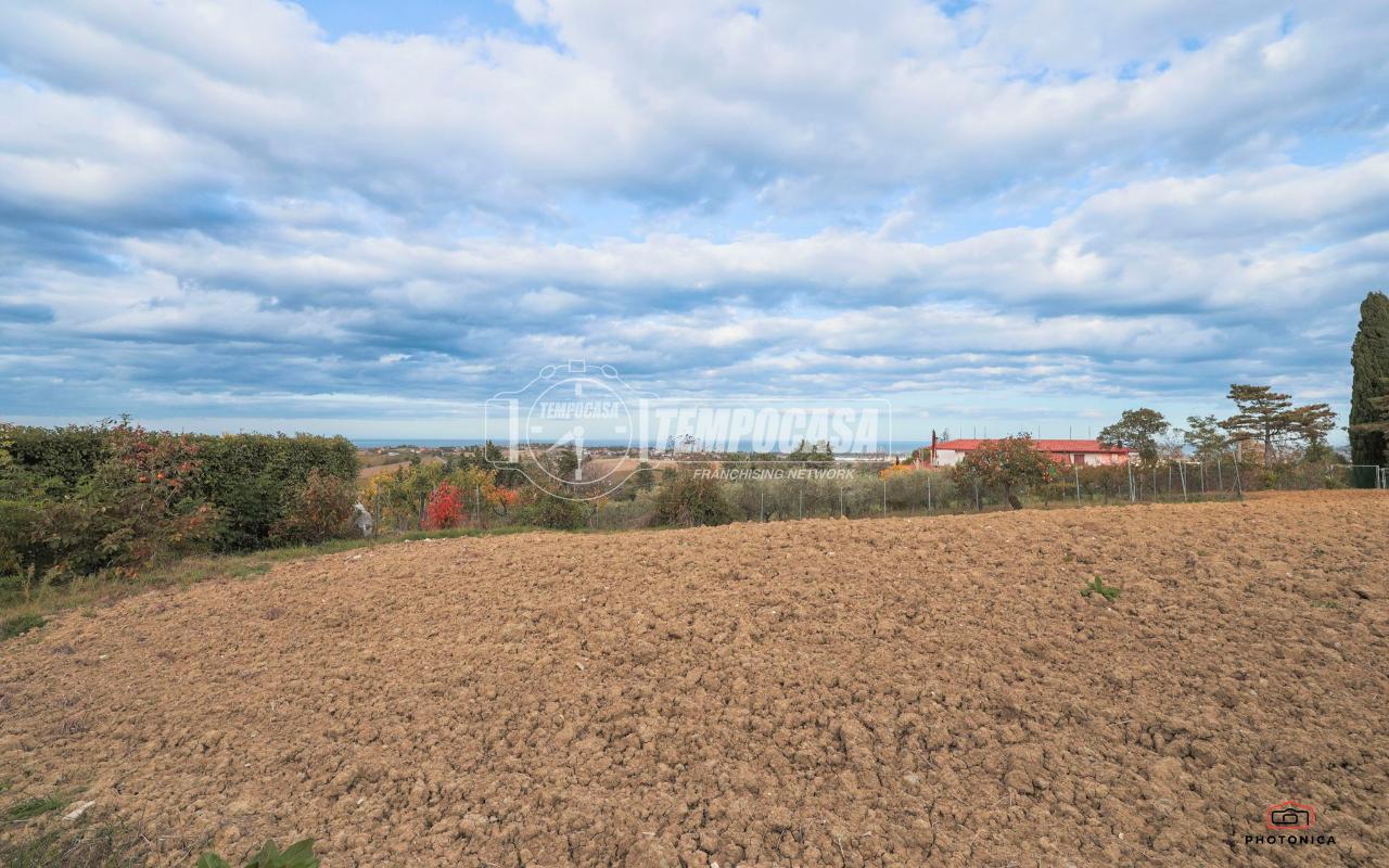 immagine annuncio 5 di 14