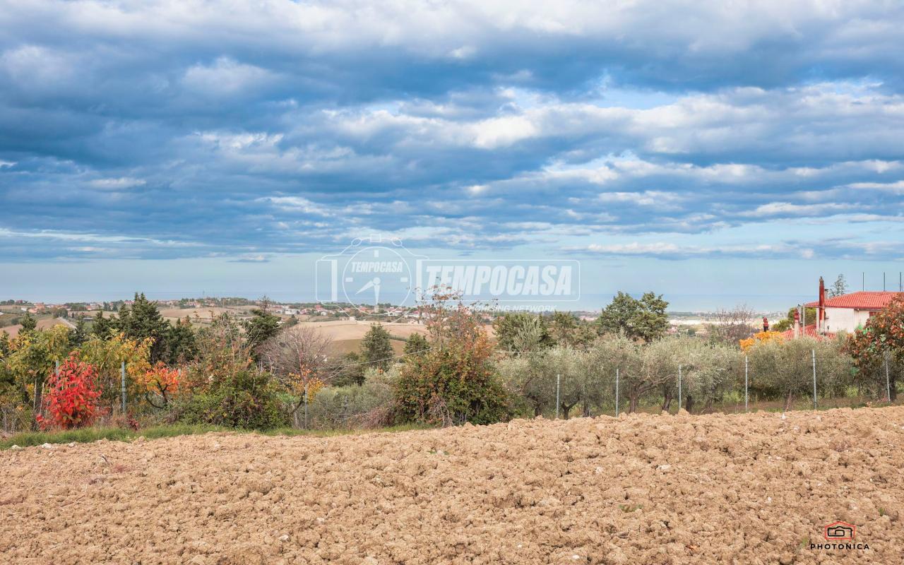 immagine annuncio 4 di 14