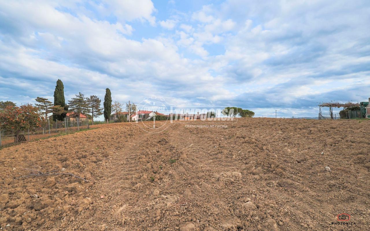 immagine annuncio 2 di 14