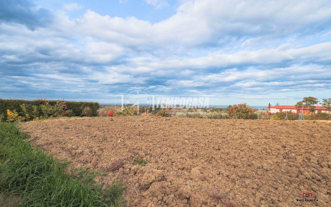 immagine annuncio 7 di 14