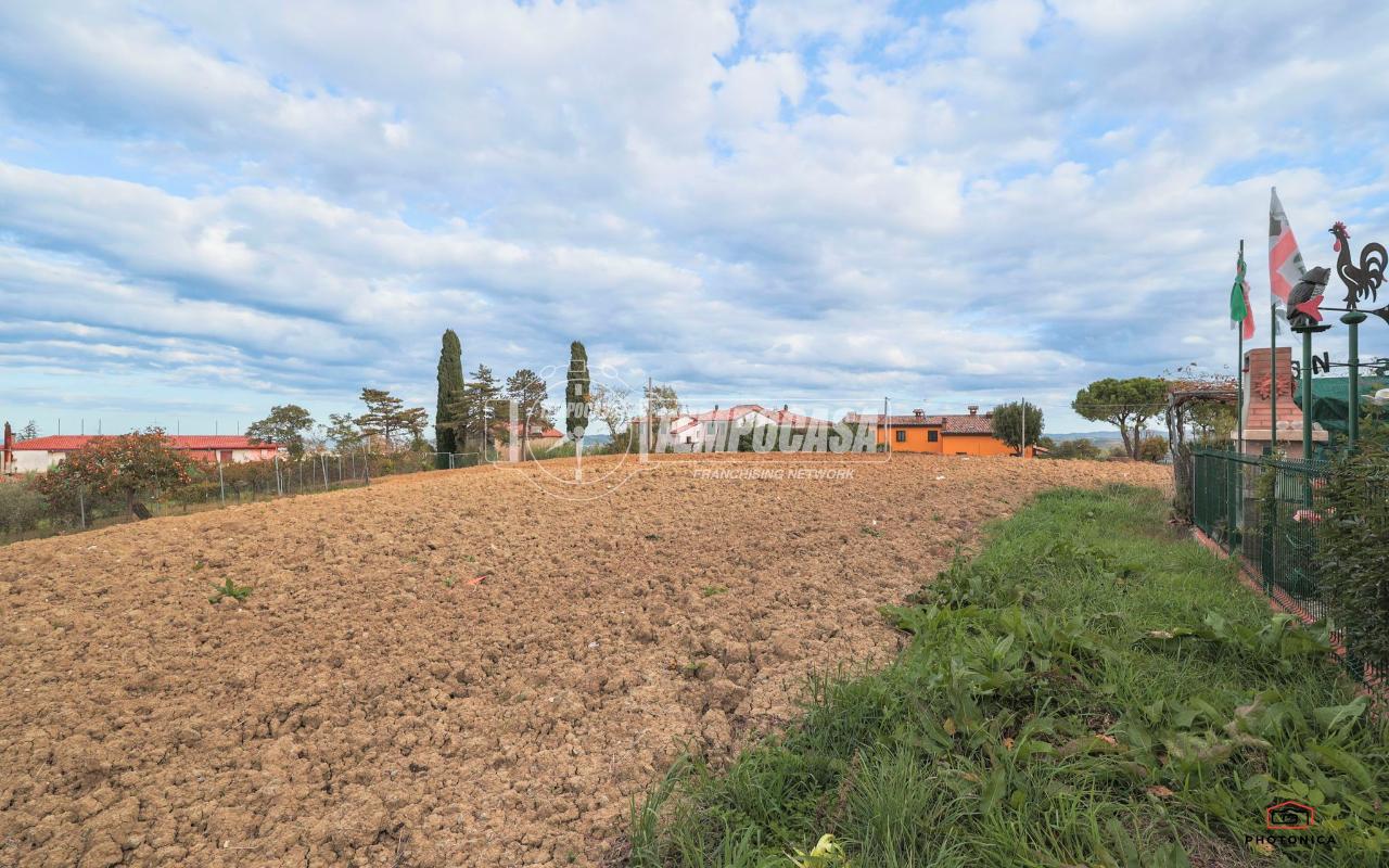 immagine annuncio 6 di 14