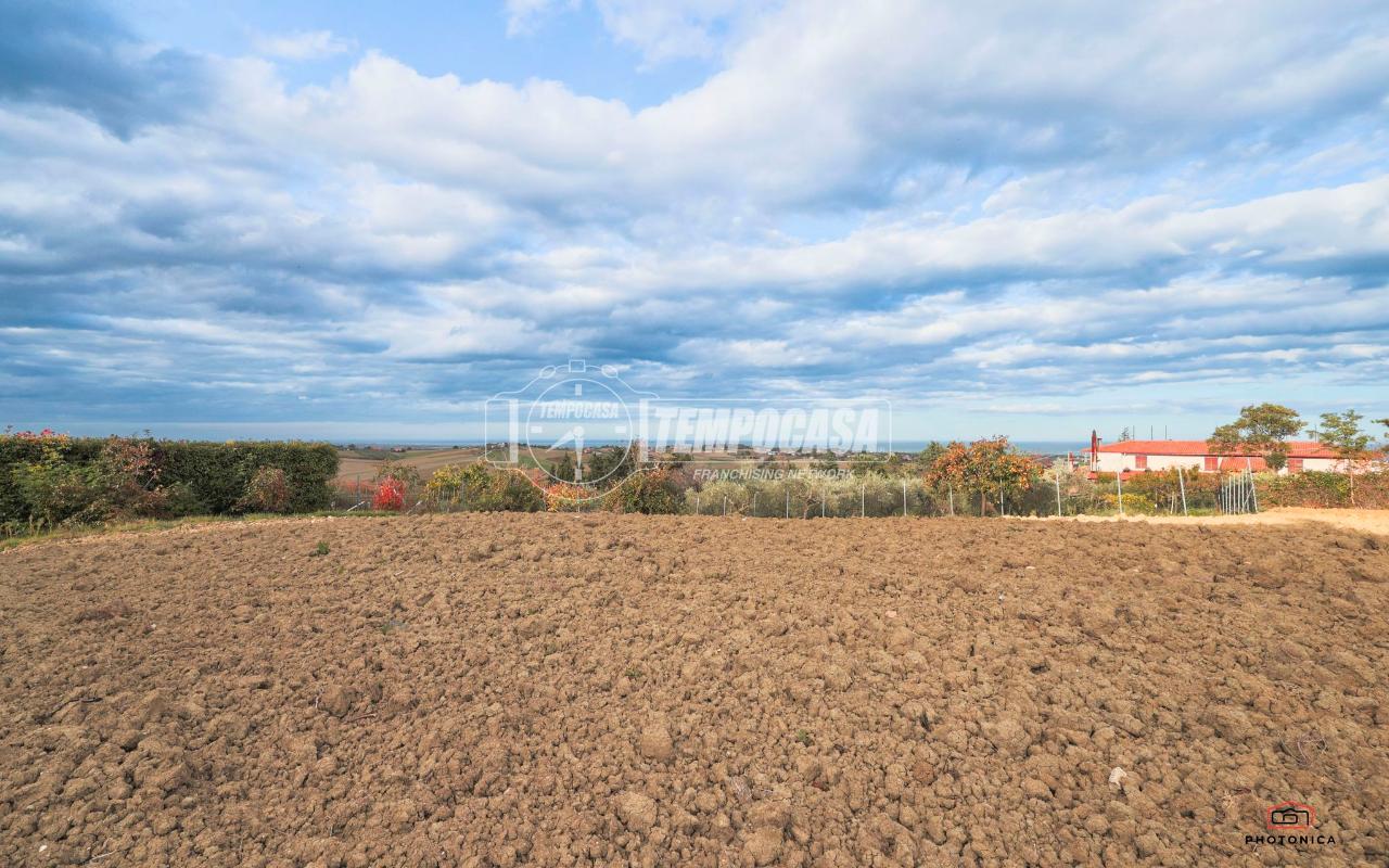 immagine annuncio 8 di 14