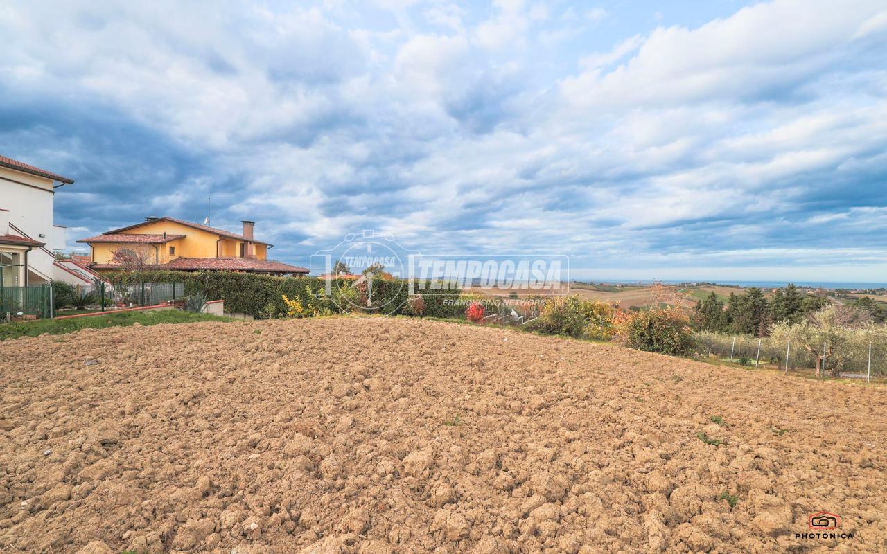 immagine annuncio 10 di 14