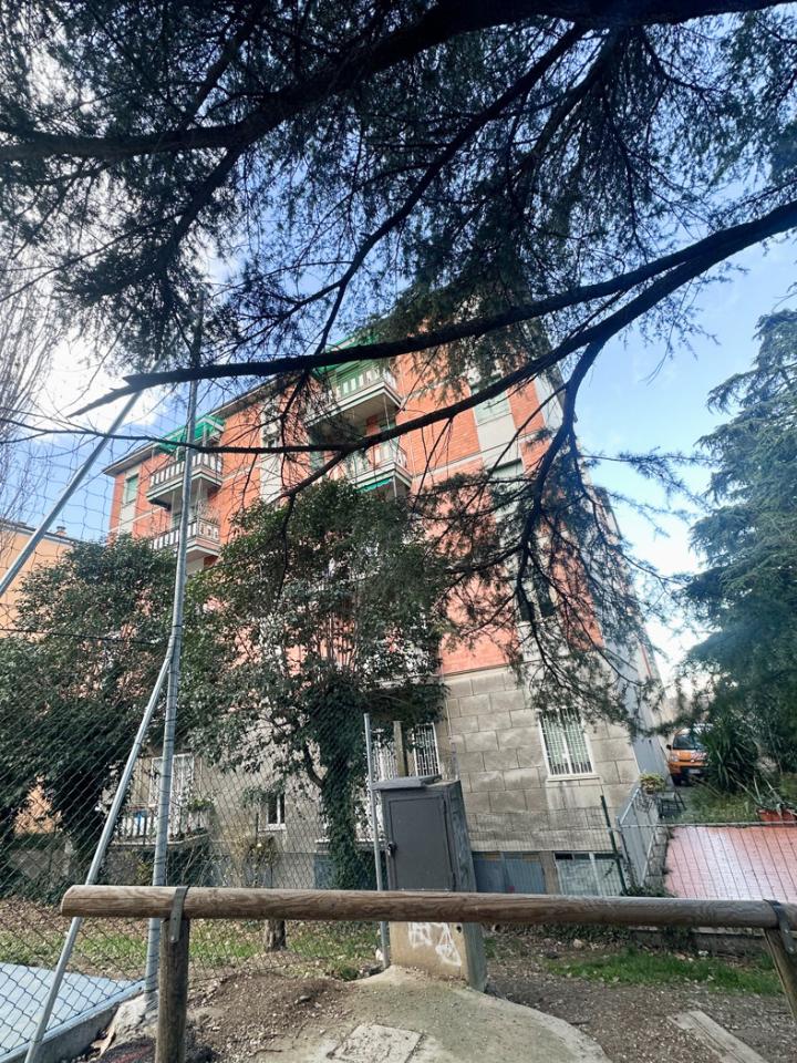 immagine annuncio 1 di 7