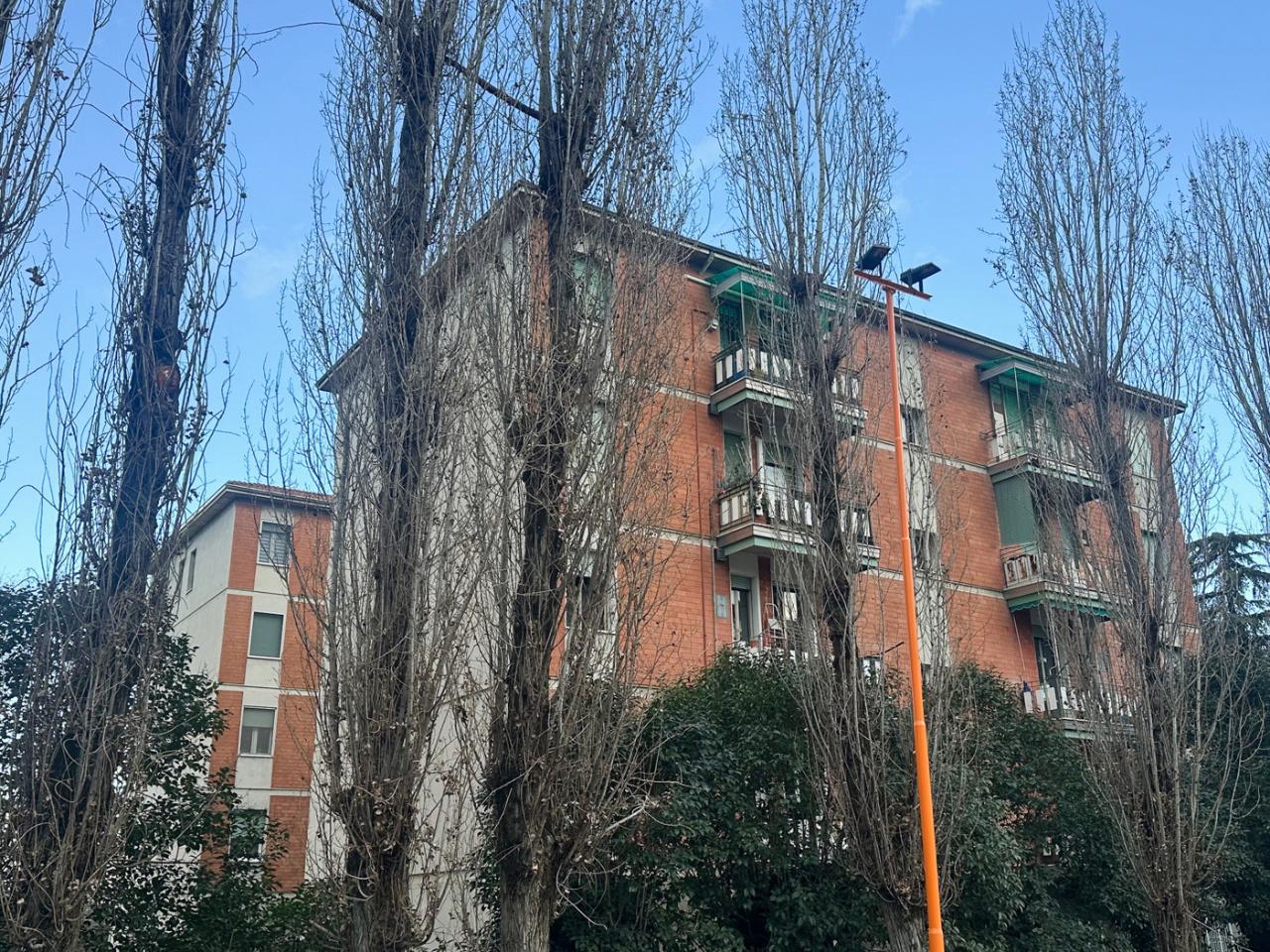 immagine annuncio 6 di 7