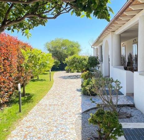 immagine annuncio 6 di 7