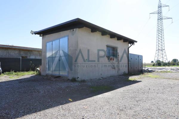 immagine annuncio 8 di 14