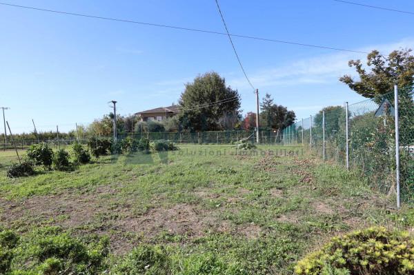 immagine annuncio 13 di 14