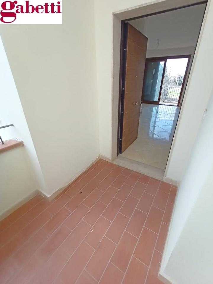 immagine annuncio 5 di 14