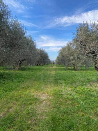 Magazzino in , Pitigliano, {3} - Foto 1