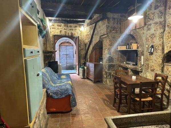 Magazzino in Vicolo Liberatori di Siena, Pitigliano, {3} - Foto 1