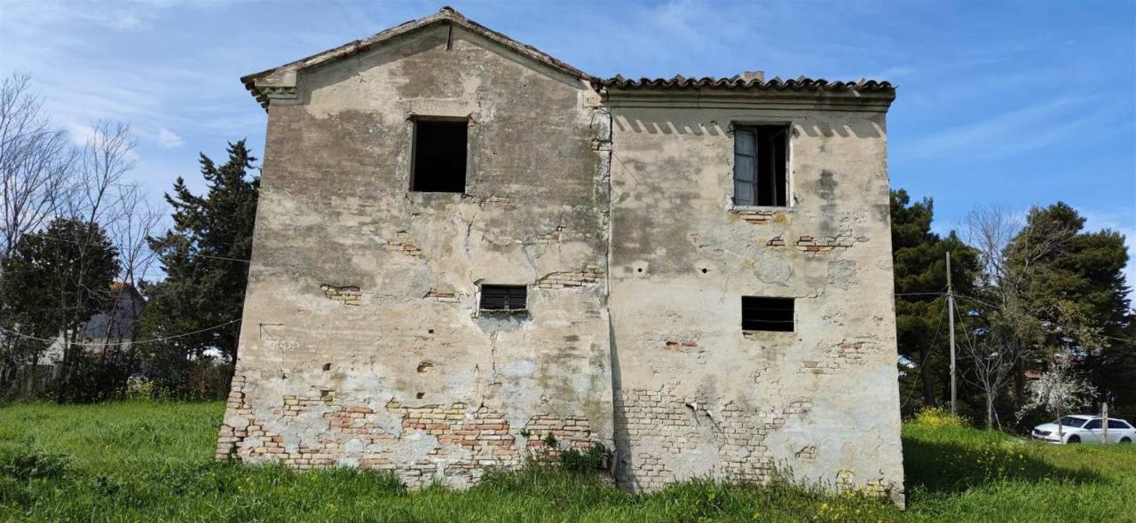 immagine annuncio 4 di 8