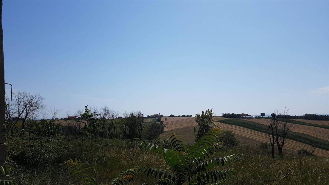 immagine annuncio 5 di 8