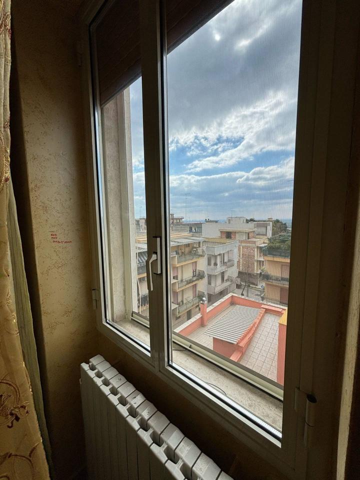 immagine annuncio 9 di 12