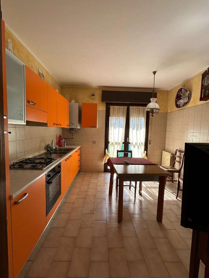 immagine annuncio 3 di 11