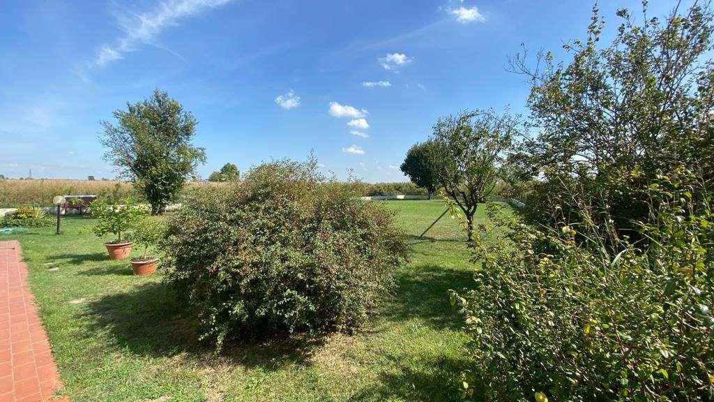 immagine annuncio 1 di 7